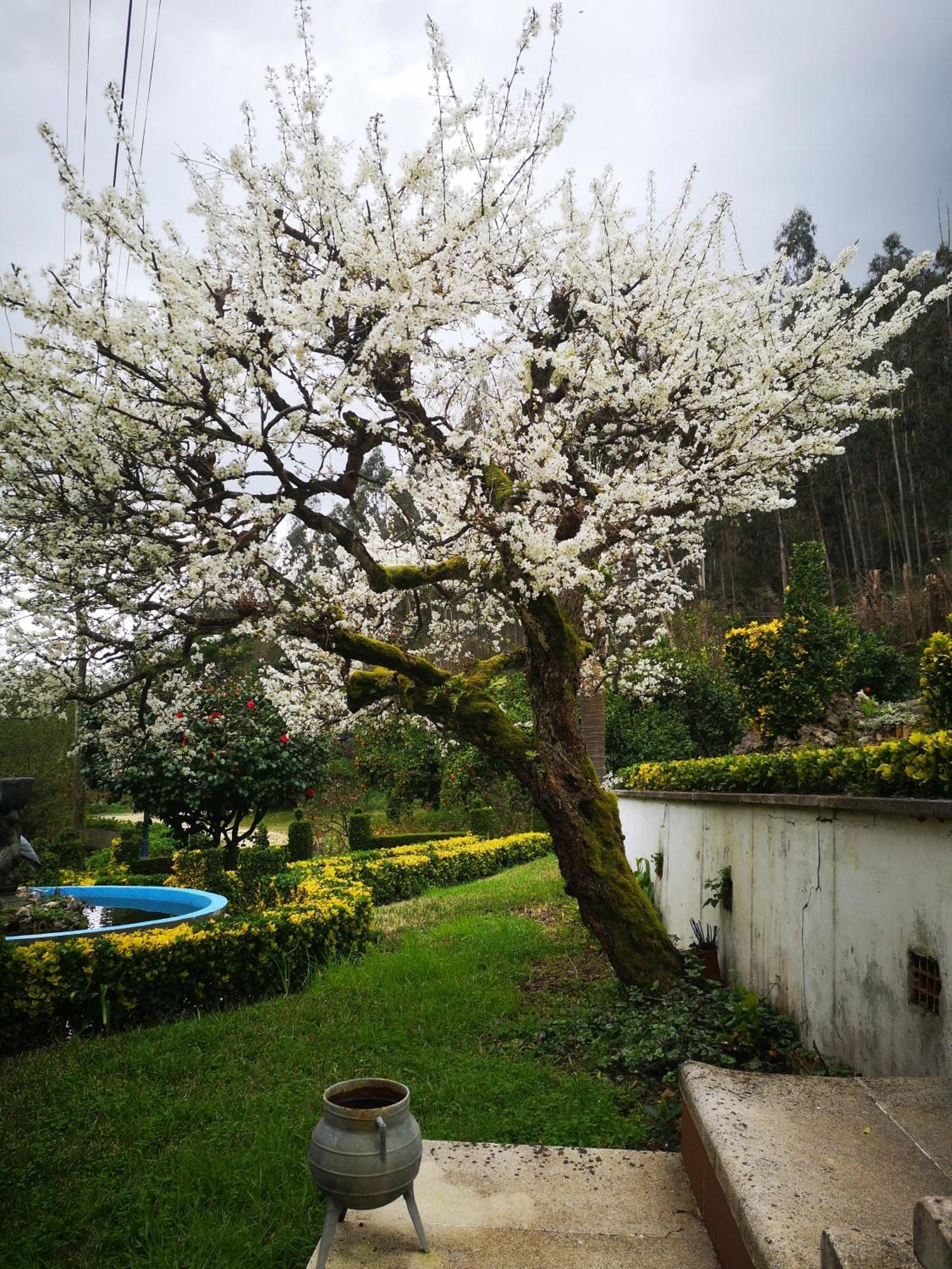 Quinta Das Aguias 아베이루 외부 사진