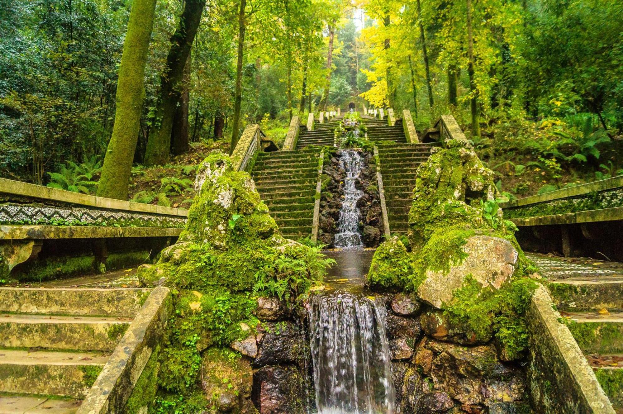 Quinta Das Aguias 아베이루 외부 사진