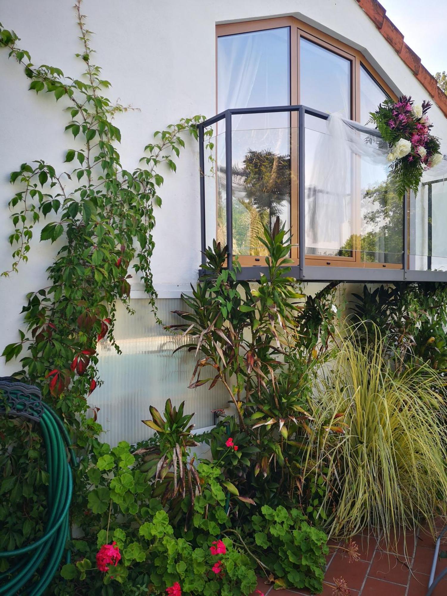 Quinta Das Aguias 아베이루 외부 사진