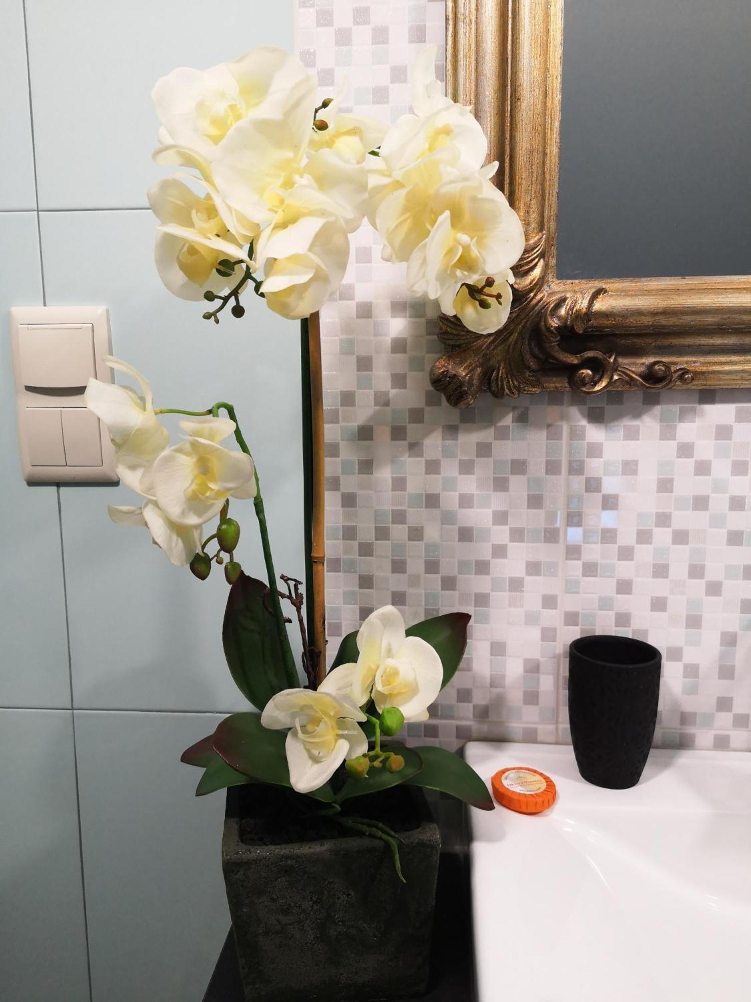 Quinta Das Aguias 아베이루 외부 사진