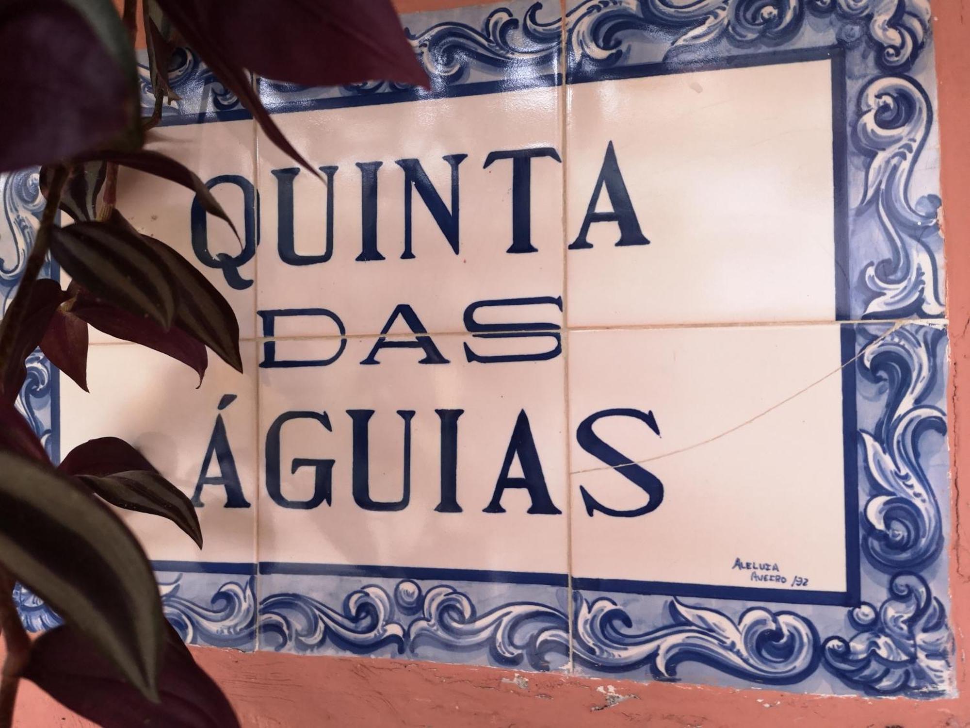 Quinta Das Aguias 아베이루 외부 사진