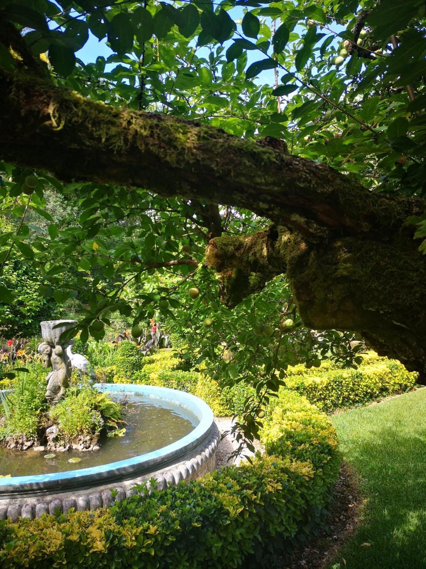 Quinta Das Aguias 아베이루 외부 사진